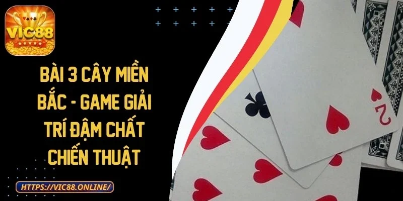 bai-3-cay-mien-bac